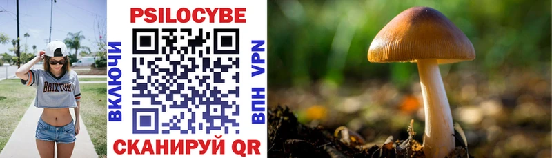 купить сайты Севск Псилоцибиновые грибы мицелий